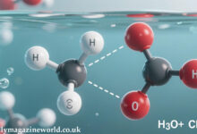 hcooch ch2 h2o